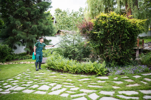 Best Pest Control for Businesses  in Jones Valley, CA