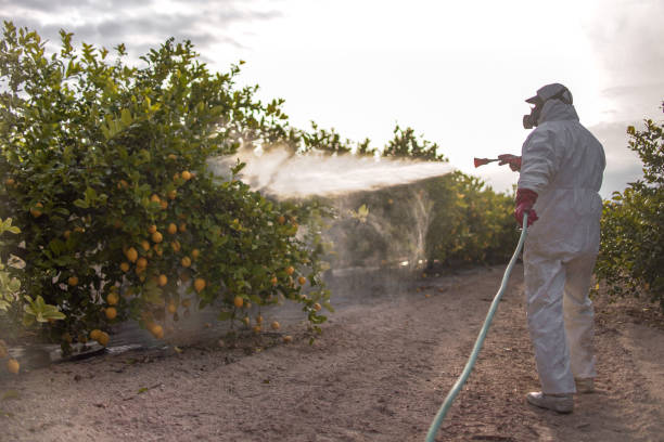 Best Best Pest Control Companies  in Jones Valley, CA