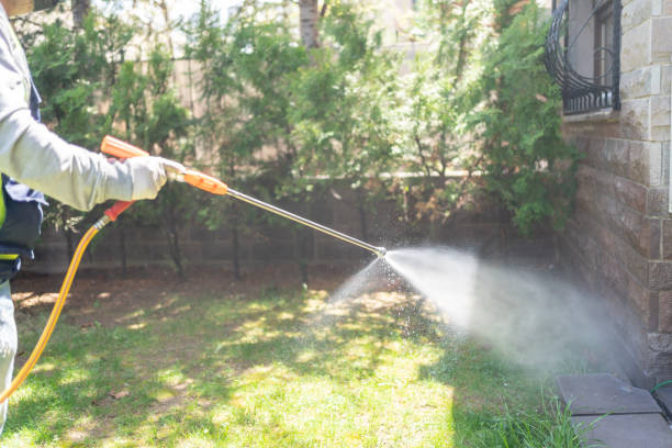 Best Local Pest Control Services  in Jones Valley, CA