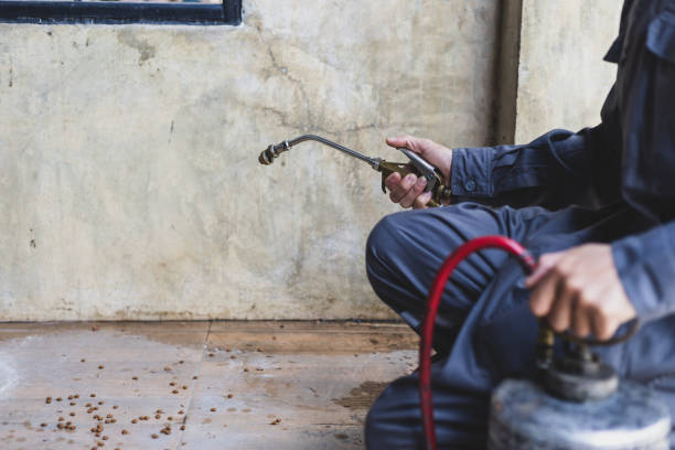 Best Pest Prevention Services  in Jones Valley, CA